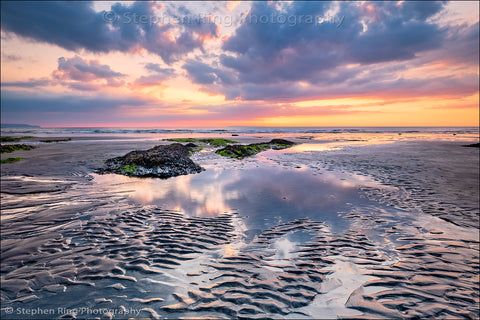 06806- Westward Ho!