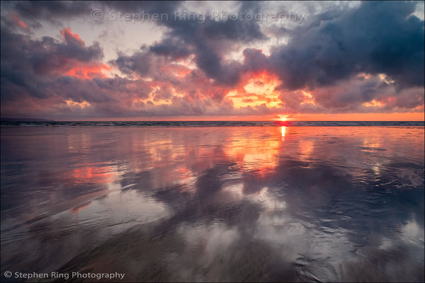 06816 - Westward Ho!