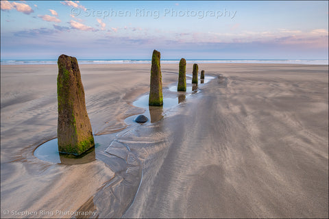 06824 - Westward Ho!