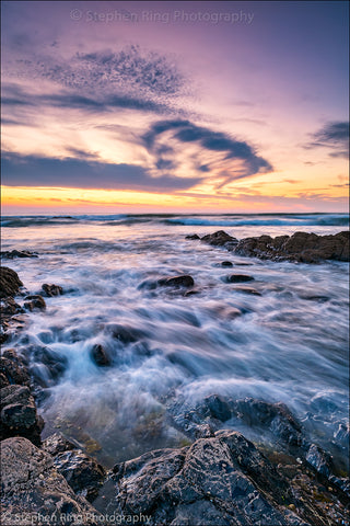 06828 - Westward Ho!