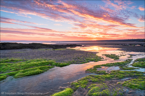 06894 - Westward Ho!