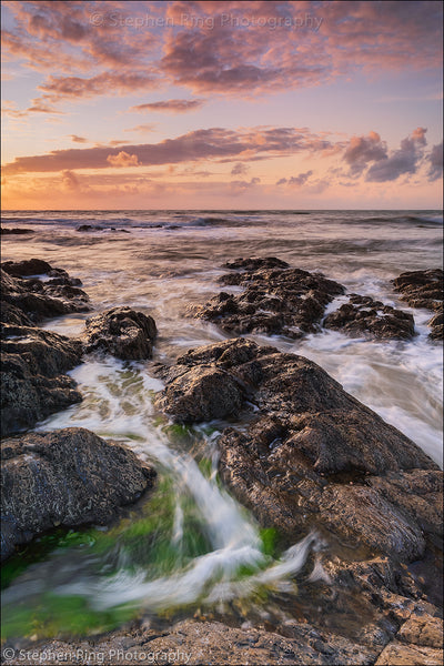 06895- Westward Ho!