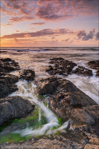 06895- Westward Ho!