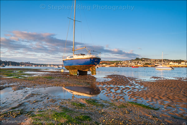 06936 - Appledore