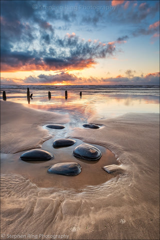 06973 - Westward Ho!