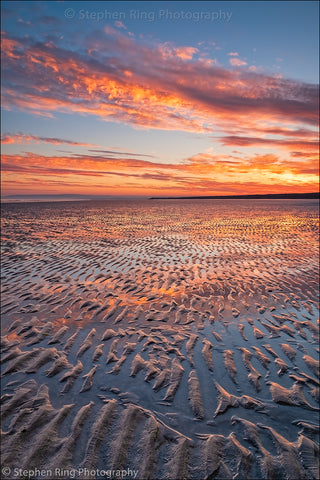 07001 - Westward Ho!