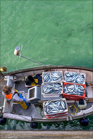 07075 - St Ives