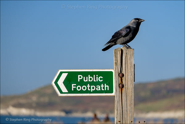 07100 - Woolacombe