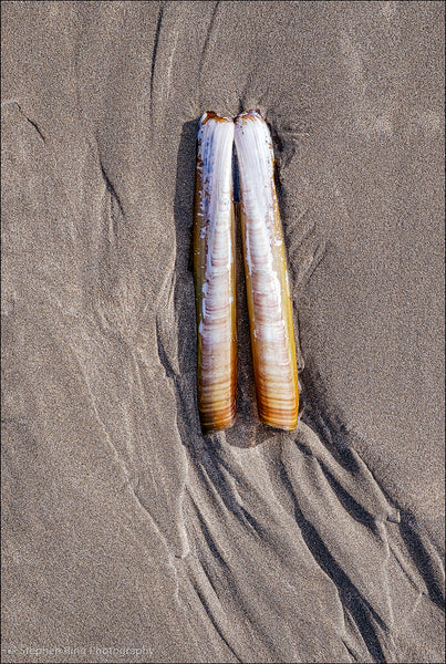 07143 - Northam Burrows