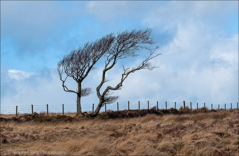 07189 - North Devon Canvas Prints