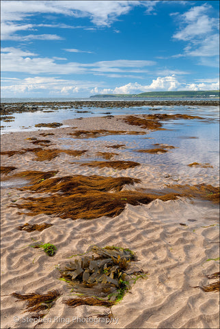 00720 - Northam Burrows