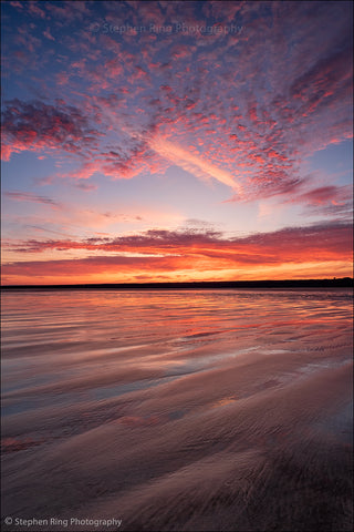 07220 - Westward Ho!