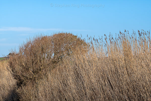 07257 - Northam Burrows