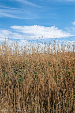07276 - Northam Burrows