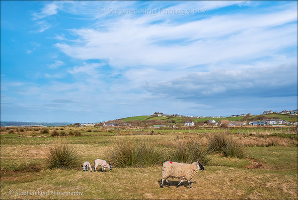 07280 - Northam Burrows