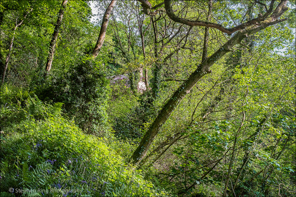 07360 - Peppercombe