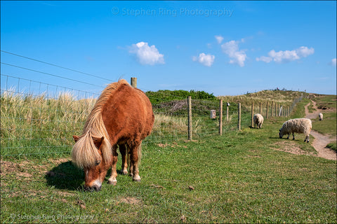07377 - Northam Burrows