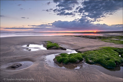 07441 - Westward Ho!