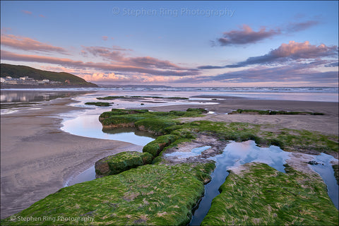 07445 - Westward Ho!