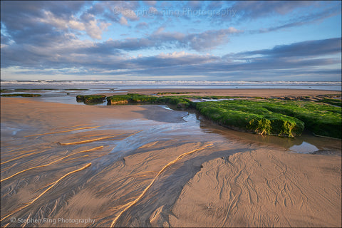 07449 - Westward Ho!