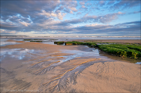 07459 - Westward Ho!
