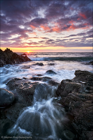 07502 - Westward Ho!
