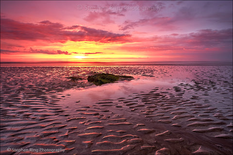 07510 - Westward Ho!