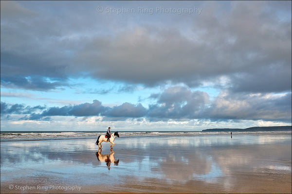 07615 - Westward Ho!