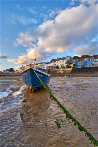 07621 - Appledore