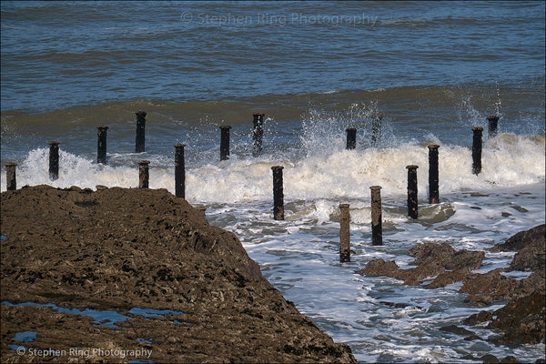 07735 - Westward Ho!