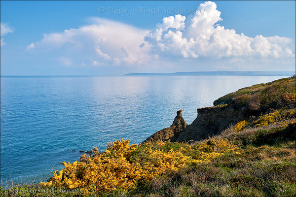 07791  - Westward Ho!
