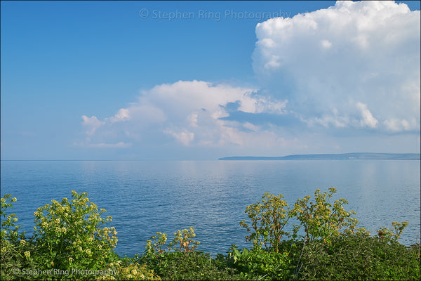07796  - Westward Ho!