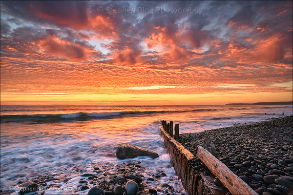 07870  - Westward Ho!