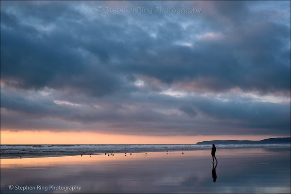 07904 - Westward Ho!