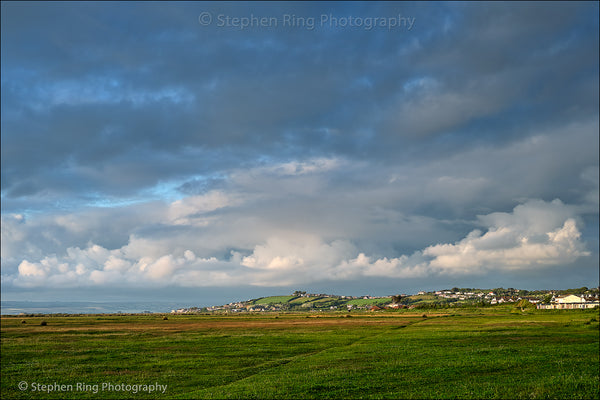 07905  - Northam Burrows