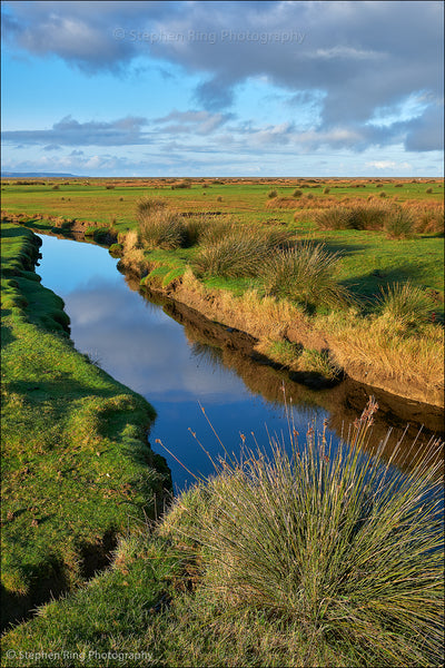 07921 - Northam Burrows