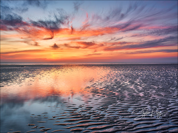 08028 - Westward Ho!