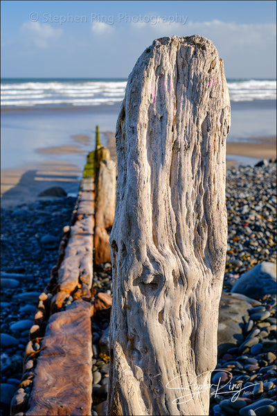 08059 - Westward Ho!