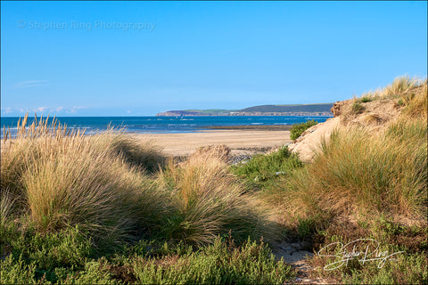 08131 - Northam Burrows