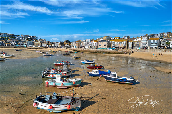 08153  - St Ives