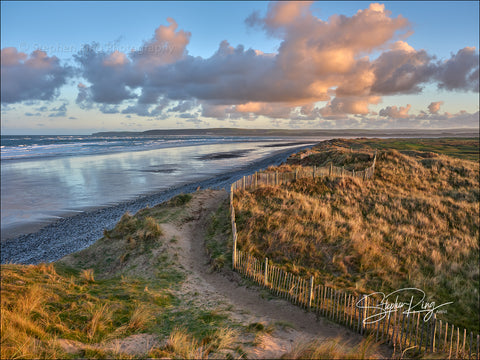 08155 - Northam Burrows