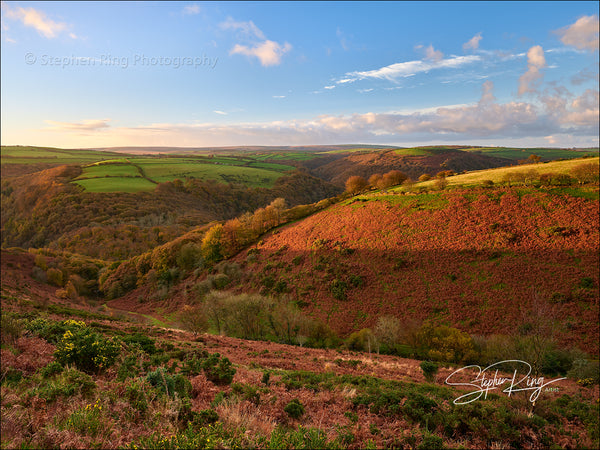 08185 - Exmoor