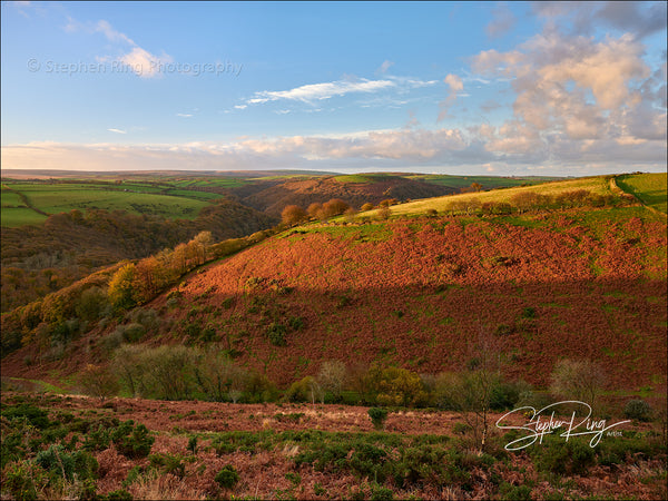 08185 - Exmoor