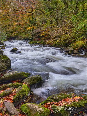 08187  - Exmoor