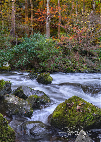 08188 - Exmoor