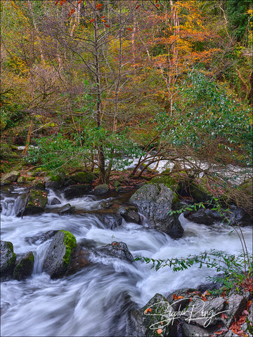 08193 - Exmoor