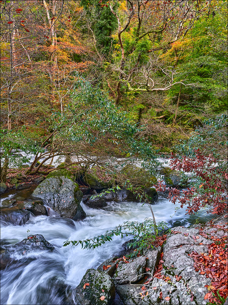 08195  - Exmoor