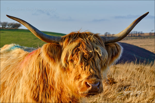 08198 - Exmoor