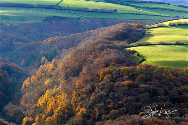 08203 - Exmoor