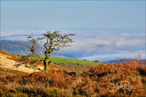 08213 - Exmoor